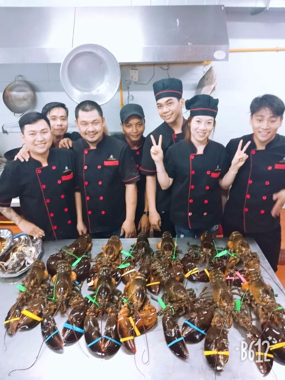 Áo Bếp - Áo Đồng Phục Đầu Bếp Màu Đen Tay Ngắn