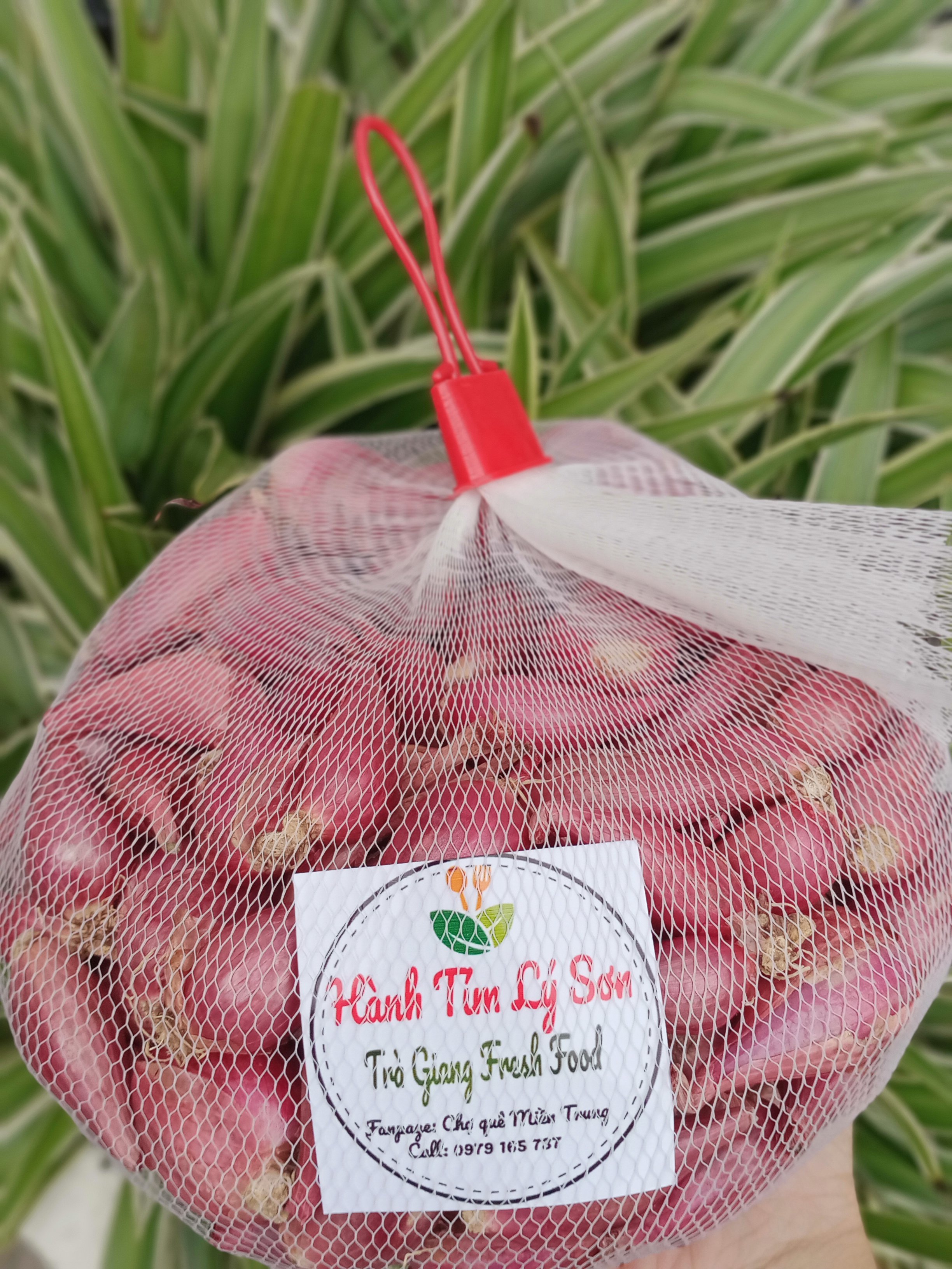 Loại 1 hành tím lý sơn - 1kg