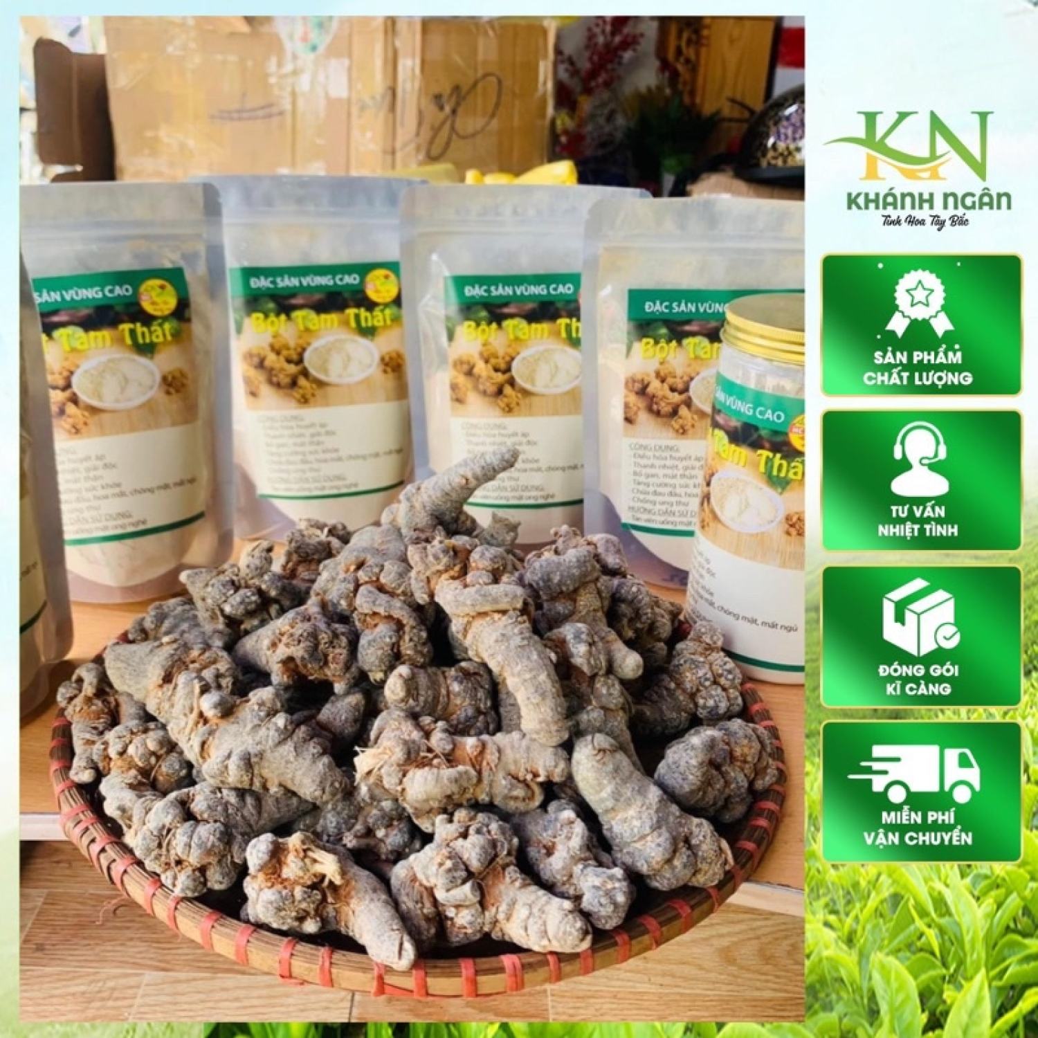Bột tam thất bắc khô nguyên chất xay nghiền từ tam thất hoang rừng Hà Giang củ to già, làm viên tam thất mật ong