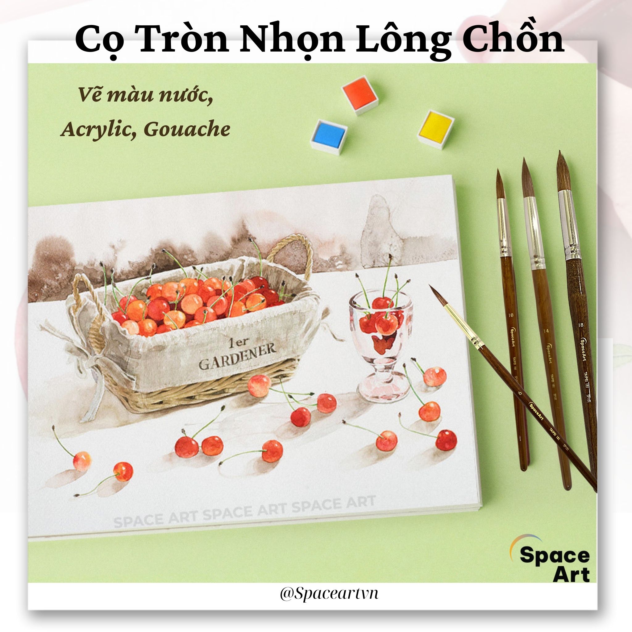 Cọ vẽ Nhọn Tròn Lông Chồn Space Art Taipei SP101 vẽ màu nước, acrylic, màu bột,sơn dầu