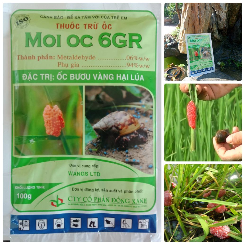 Thuốc trừ ốc Moi oc 6GR ,đặc trị ốc bươu vàng hại lúa