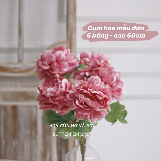 Bó 5 bông hoa mẫu đơn lụa merber loại 50cm nhiều màu - bông mẫu đơn khô hoa giả decor trang trí nhà, để bàn