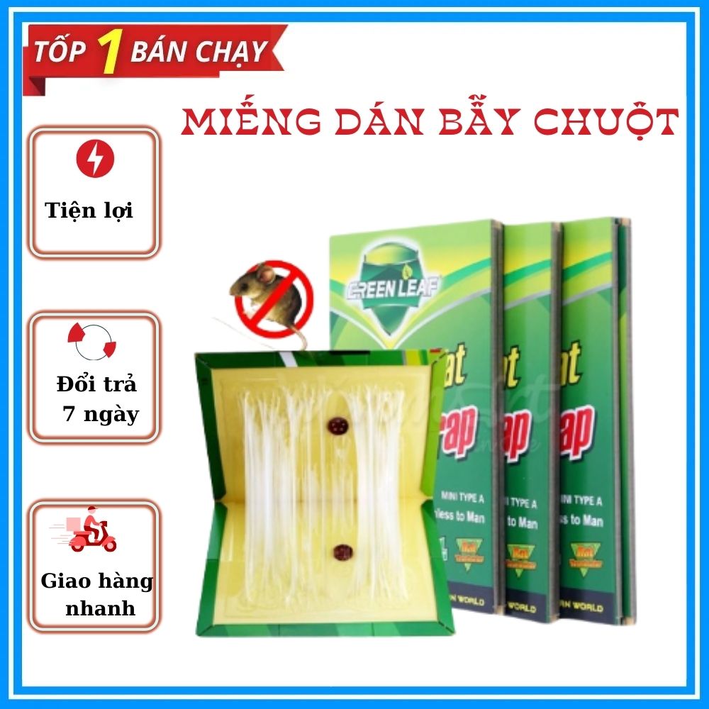 Miếng dán siêu dính chuột bẫy keo dính chuột ban chuột keo dán miếng lót bắt chuột