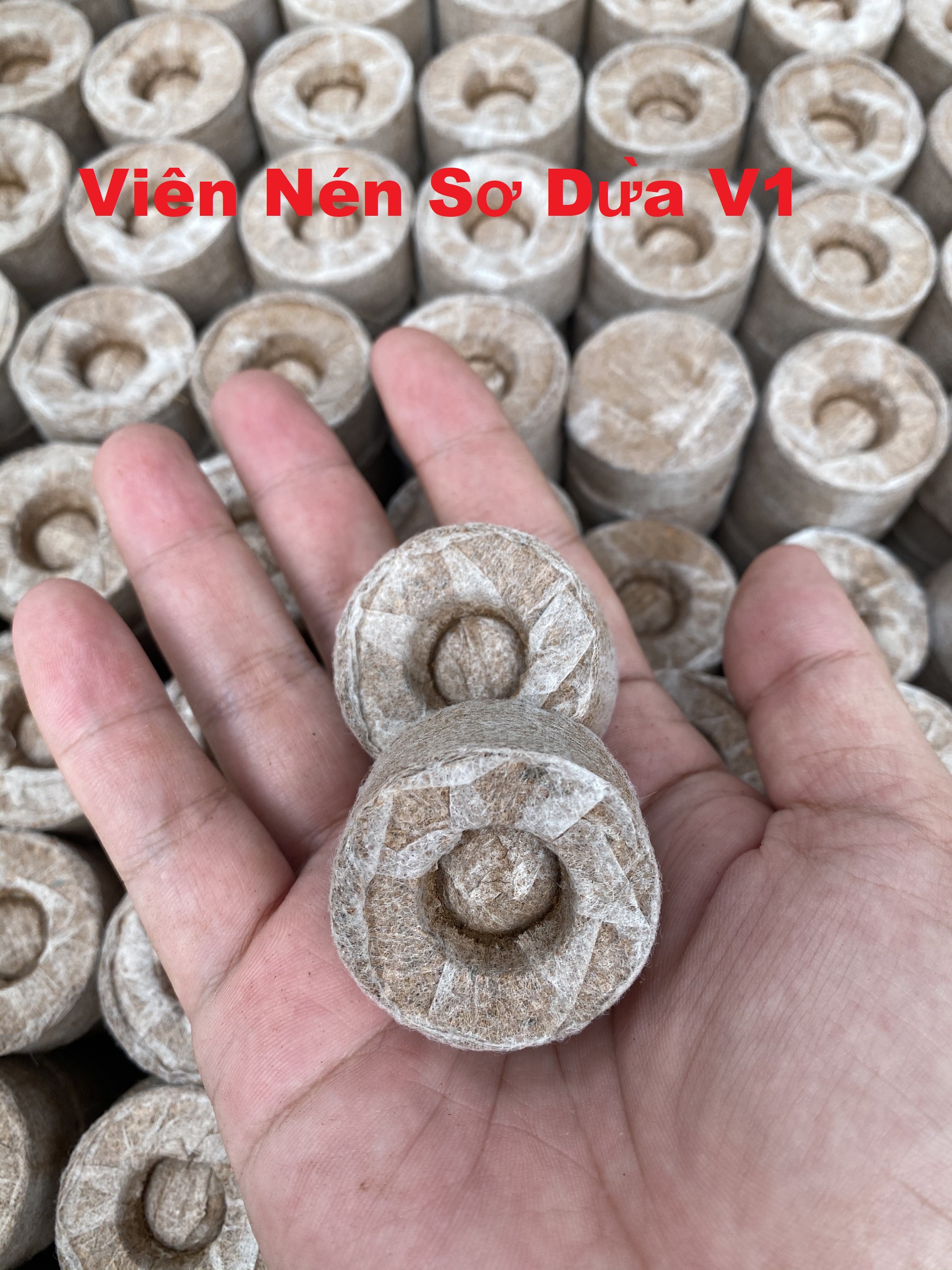 100 Viên Nén xơ dừa ươm cây ươm hạt v1 loại cao cấp
