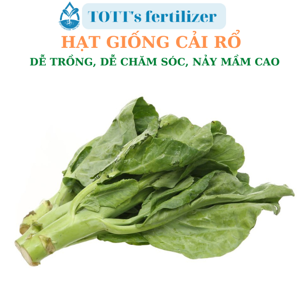 Hạt giống cải rổ dễ nảy mầm dễ trồng TOTT's fertilizer