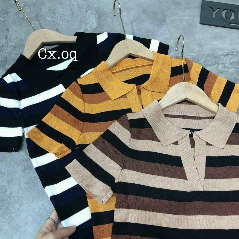 Áo thun nữ POLO dệt kim hàng Quãng Châu cho nàng sang chảnh và thanh lịch của nhà Ms.Simple