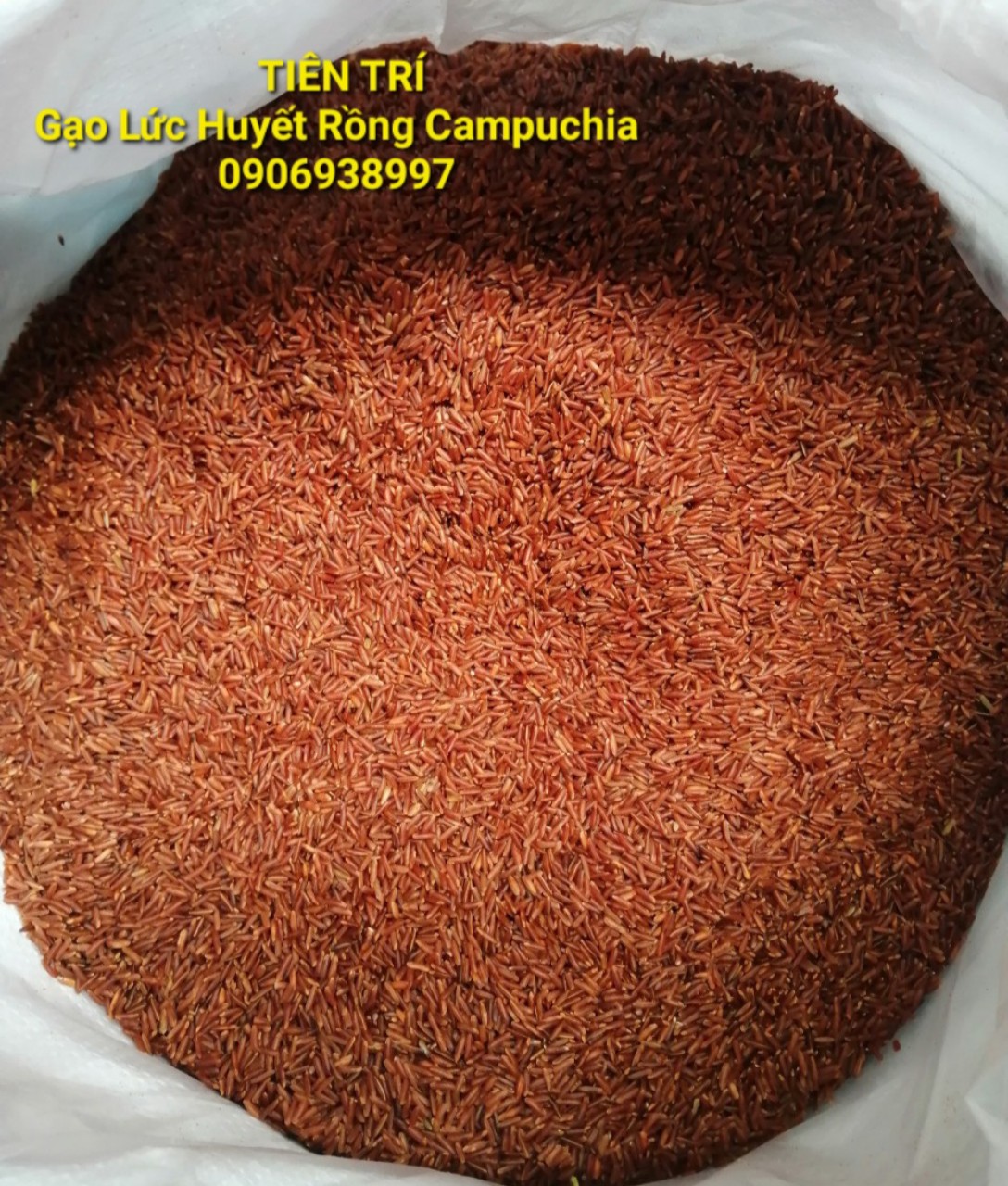 Gạo Lức Huyết Rồng Hữu Cơ 5 KG nhập Campuchia về Việt Nam Gạo 12 tháng