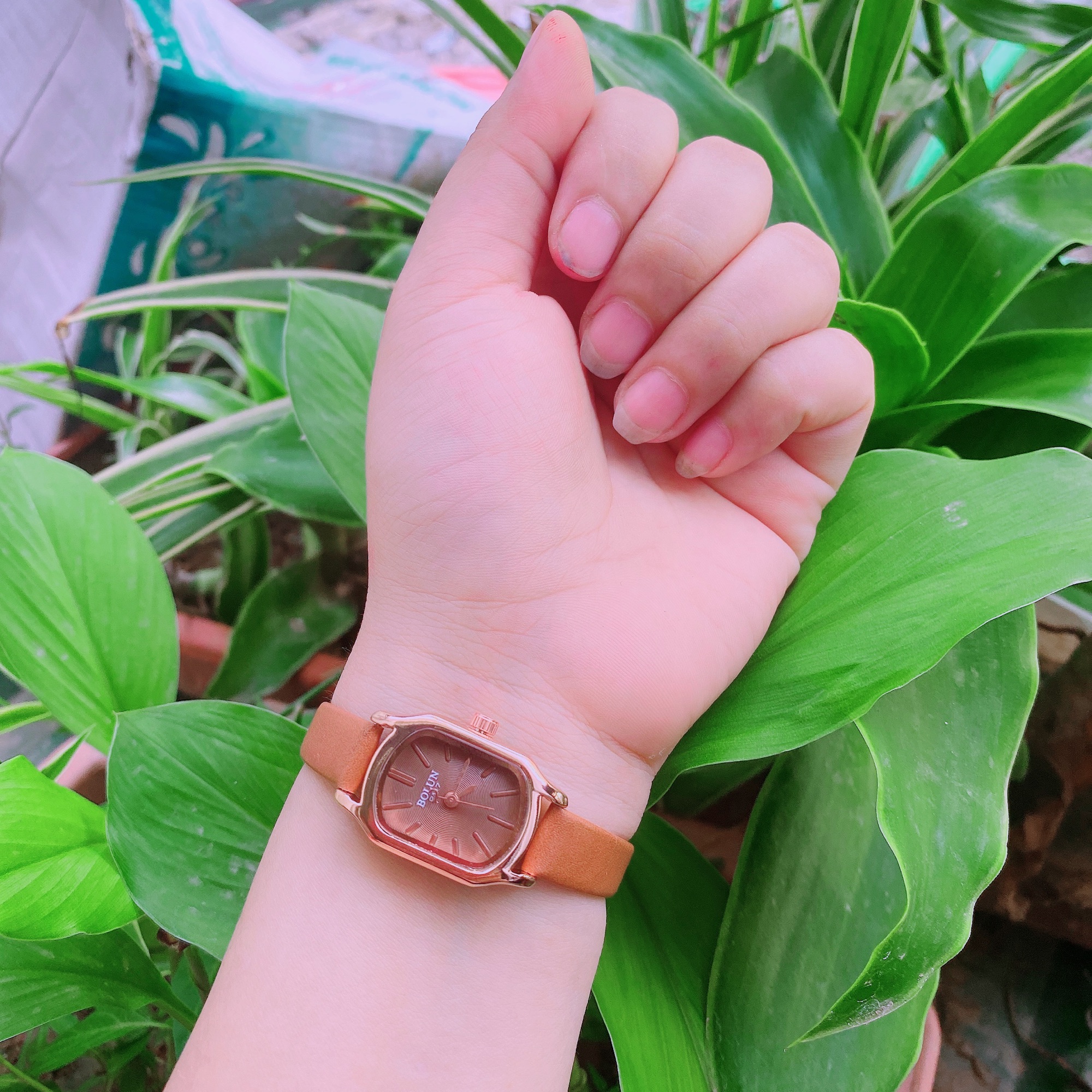 Bolun giá tốt Tháng 12,2022|BigGo Việt Nam