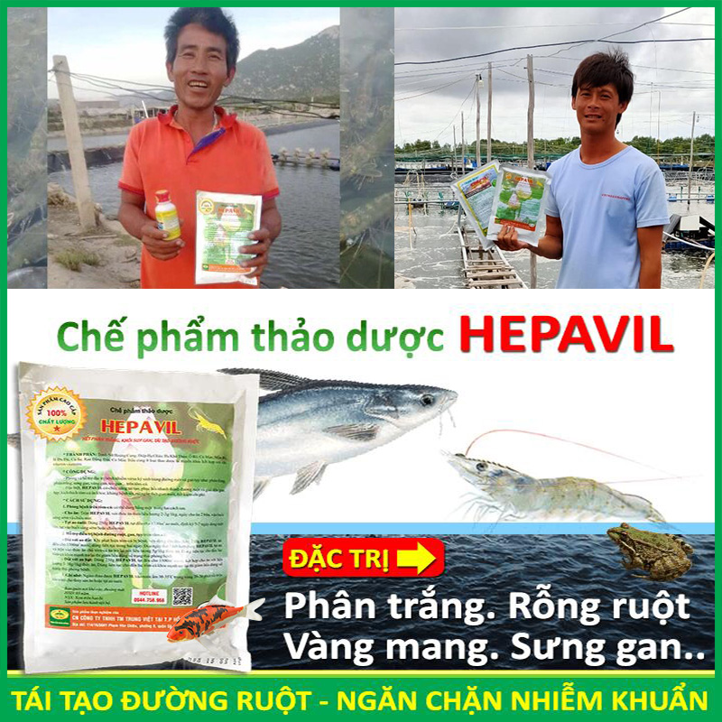 Chế phẩm sinh học Thảo Dược xử lý bệnh Cá, Ếch, Tôm. Khỏi lo Sưng Mang, Mủ Gan, Xuất Huyết, Viêm Ruột trên Cá Ếch Tôm. Hiệu quả cực nhậy sau 5-7 ngày. 100% từ Thiên Nhiên