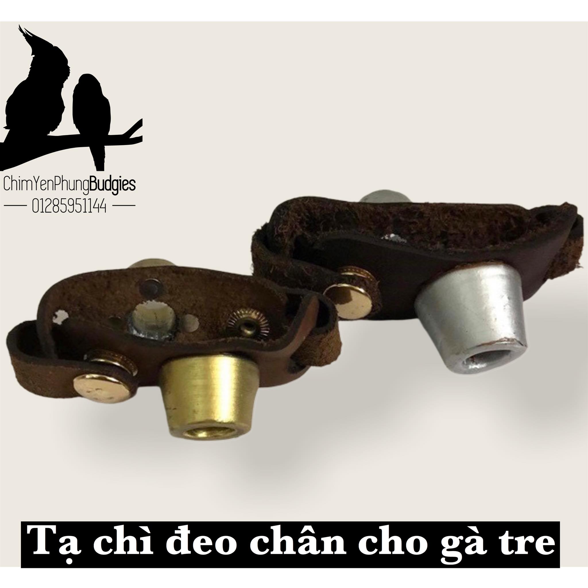 Tạ chì đeo chân cho gà tre