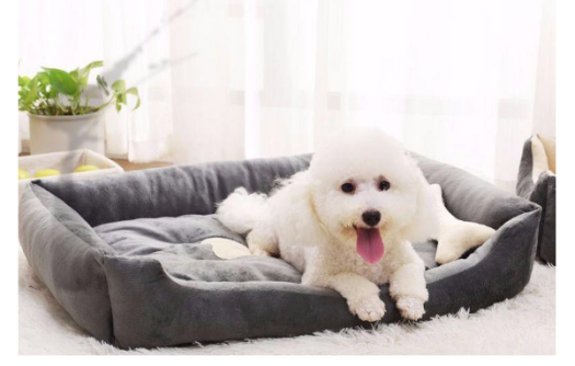 Nệm khúc xương cho chó mèo giá rẻ nhiều size