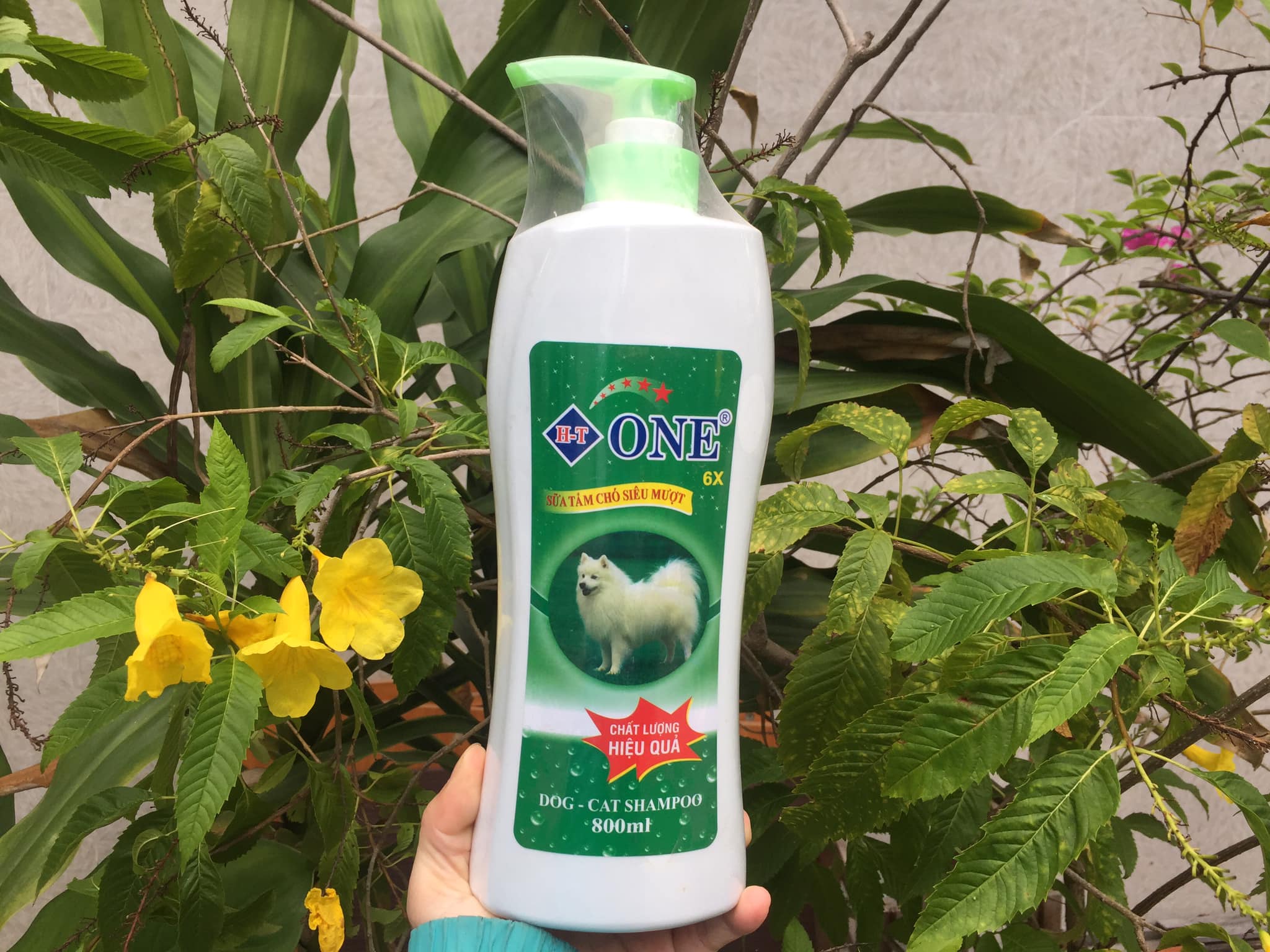 1 chai sữa tắm ONE 6X chó mèo 800 ml sạch ve rận mượt lông, hết ghẻ ngứa