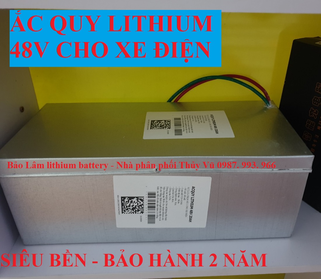 Khối pin Lithium 48V - 20AH cho xe điện -  Pin xe điện