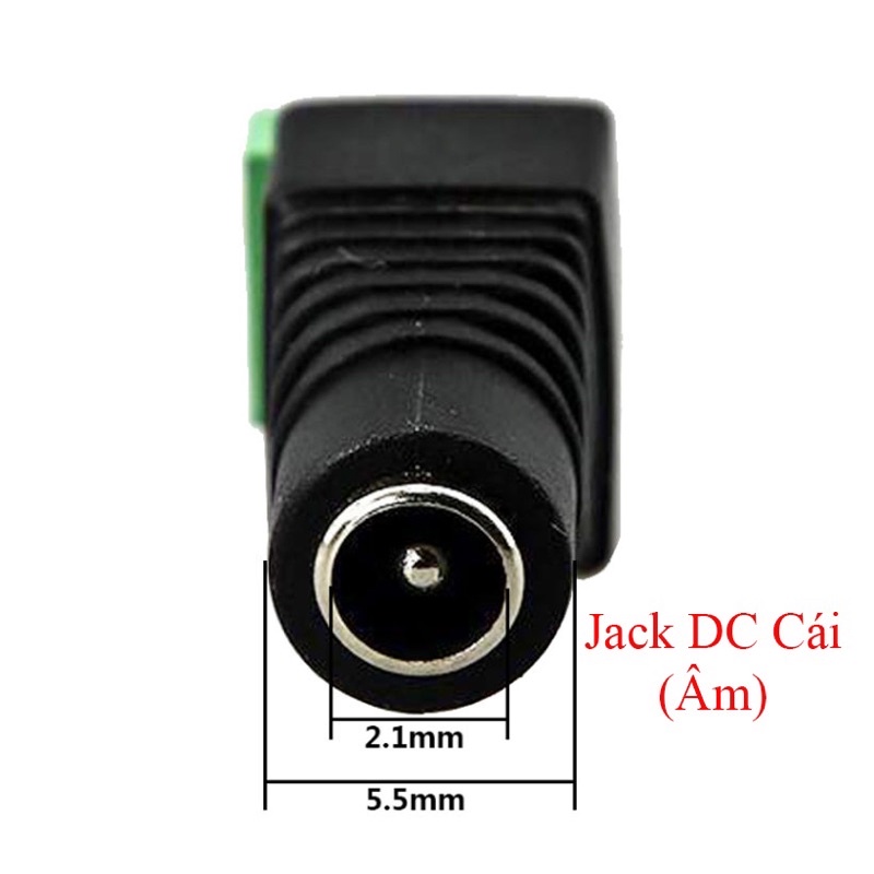 Jack dc cái túi 100c