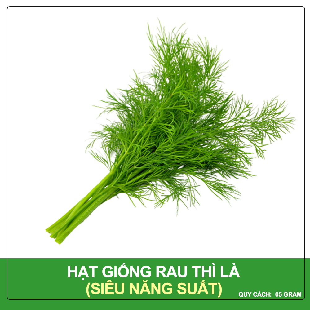 Hạt Giống Rau Thì Là Phú Nông Gói 5 Gram