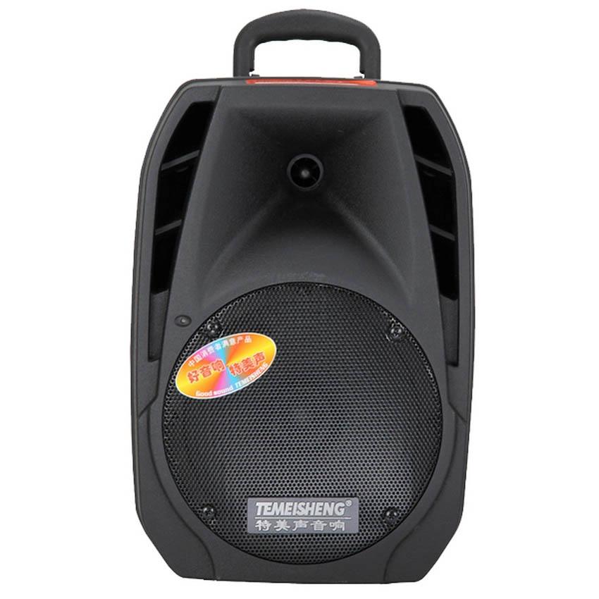 [HCM]Loa kéo Bluetooth Temeisheng A25 (2 tấc) 2 micro