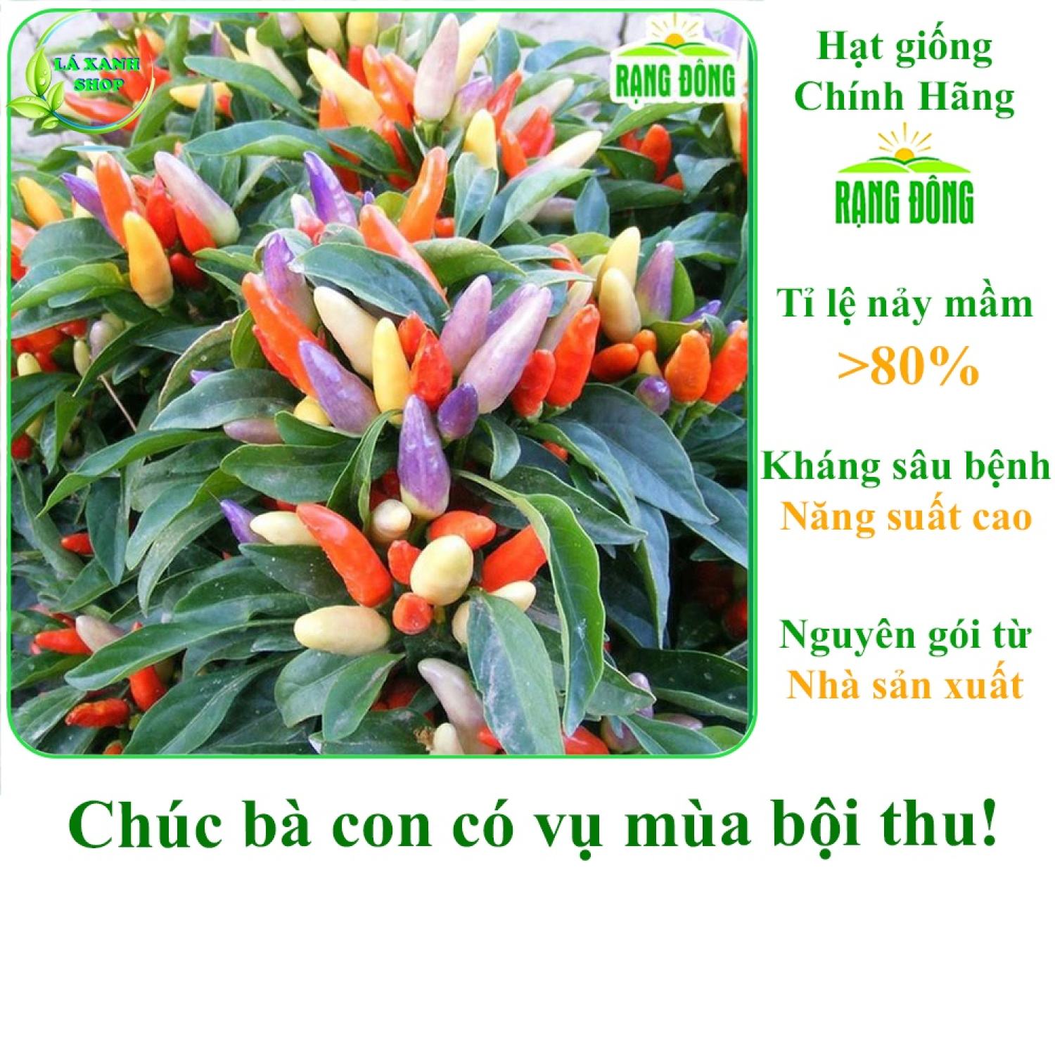 Hạt giống ớt ngũ sắc trái sai, trồng quanh năm, ớt ăn được hoặc dùng làm kiểng - hạt giống rạng đông