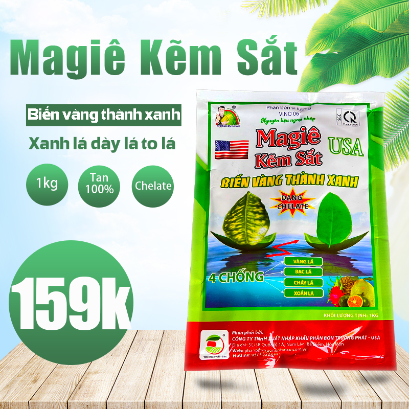 Phân bón magiê kẽm sắt usa biến vàng thành xanh to dày lá ngừa vàng lá bạc lá ma nhê kẽm sắt
