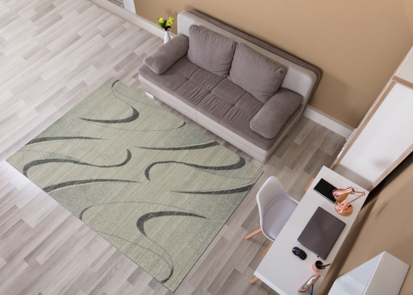 Thảm trải sàn lông ngắn Nhi Long L0001, mang đến sự sang trọng cho căn nhà của bạn (200x280cm)