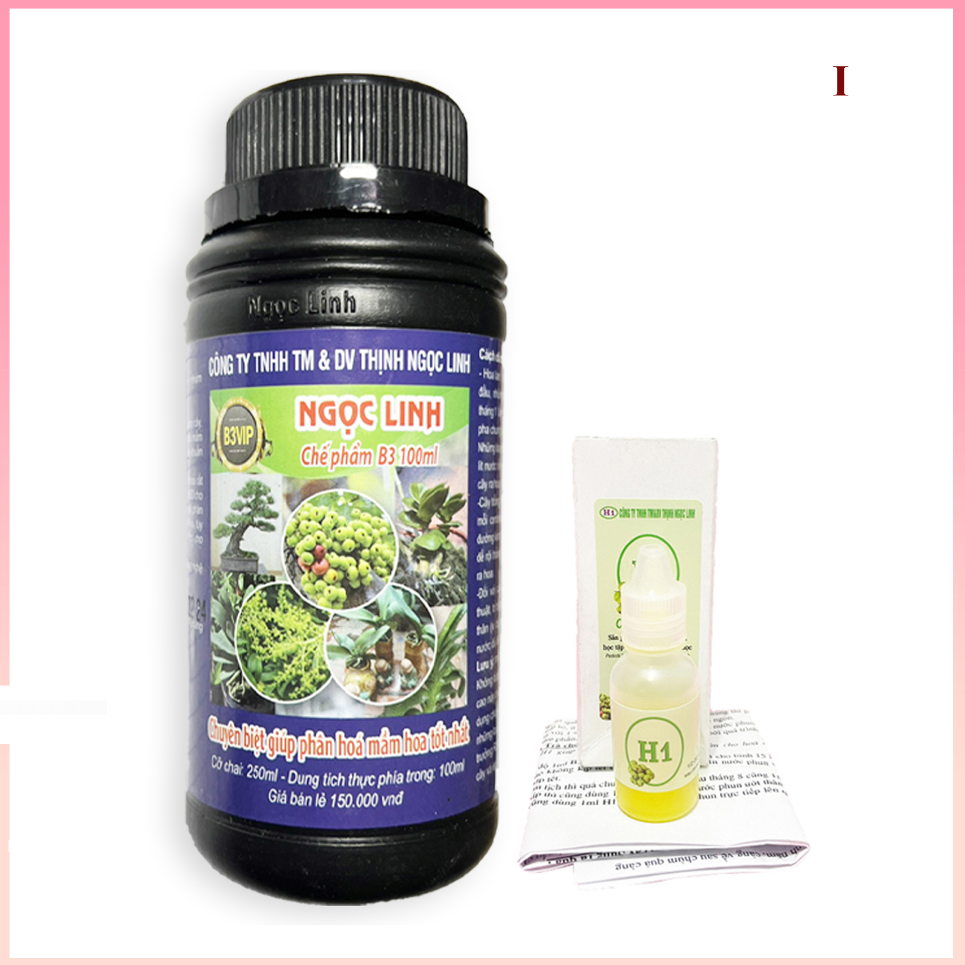 Bộ sản phẩm B3 & H1 Ngọc Linh sử dụng làm hoa làm quả trên cây
