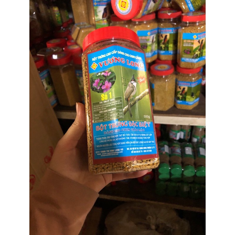 Cám Vương Long chào mào