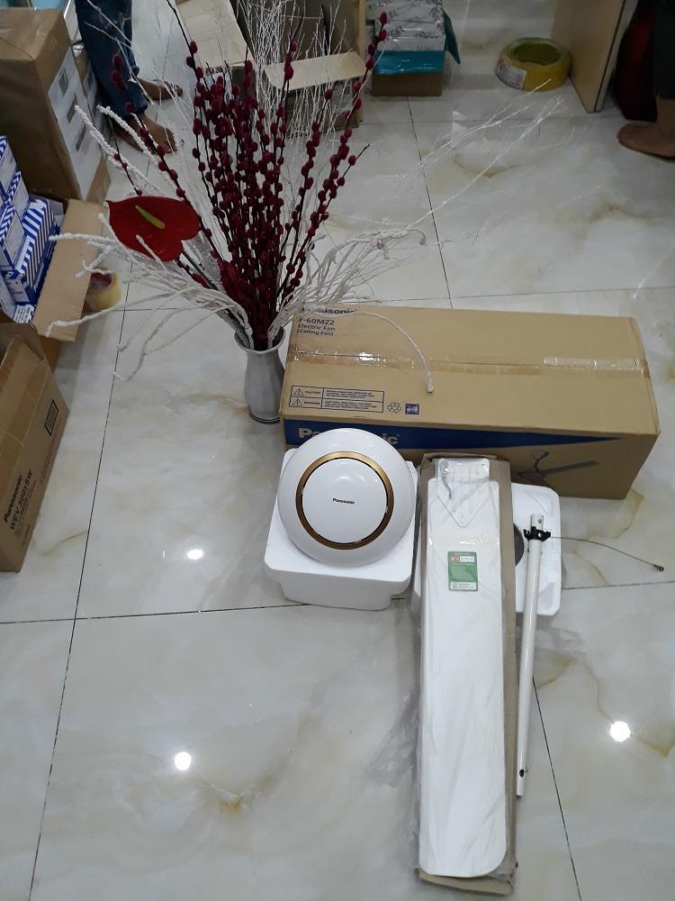 [HCM]Quạt trần Panasonic F60MZ2