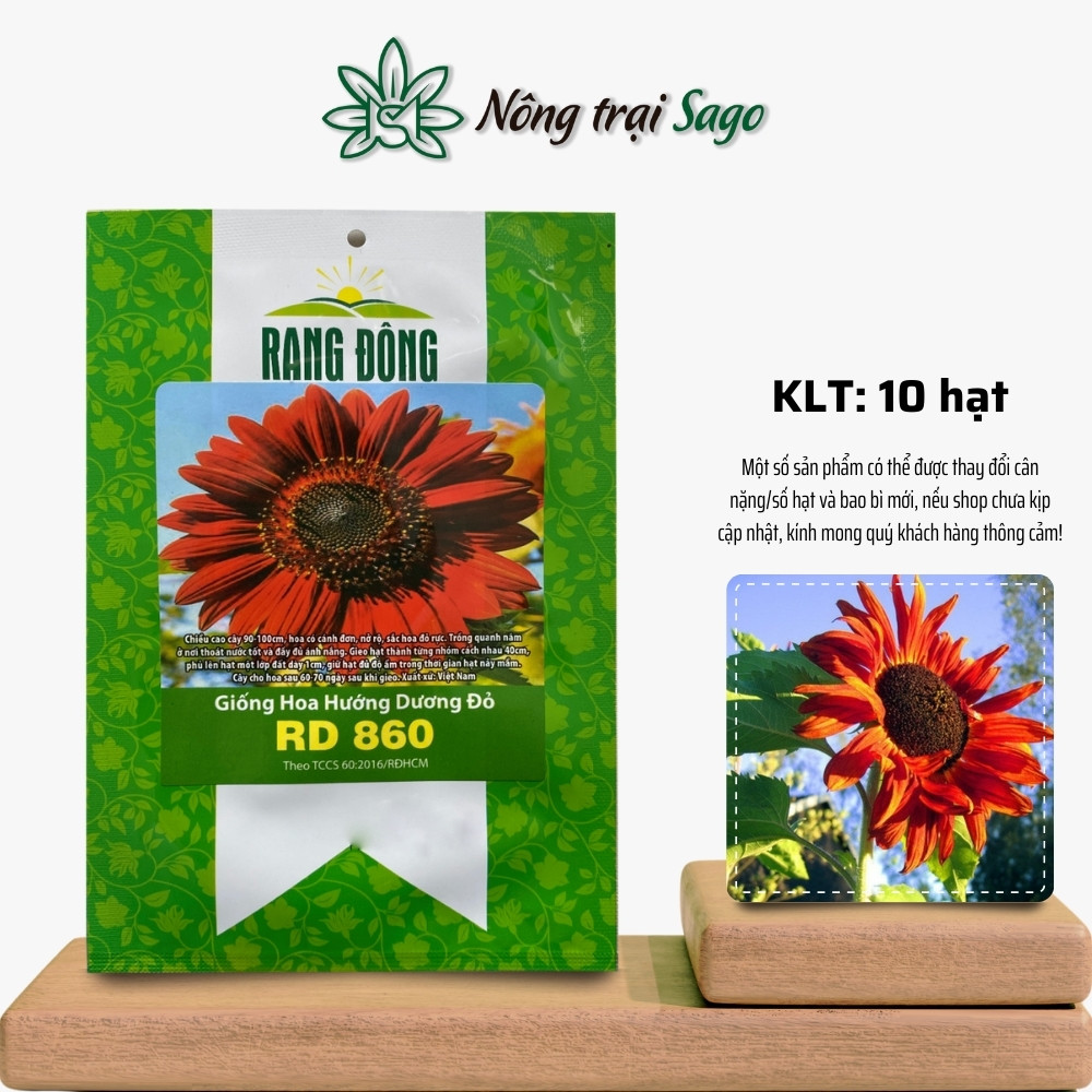 Hạt giống Hoa Hướng Dương Đỏ Rd 860 (10 hạt) trồng quanh năm, thân cao, dễ chăm sóc, hiệu Hạt giống Rạng Đông - Nông Trại Sago