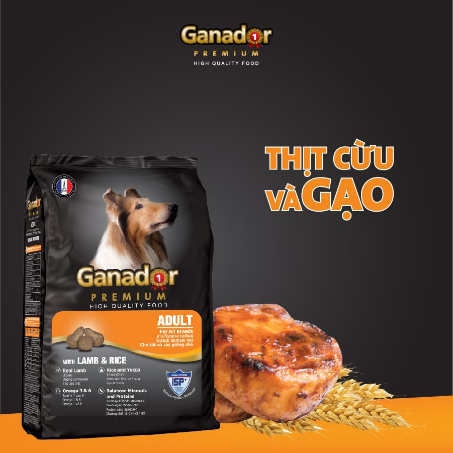 Thức ăn dinh dưỡng dành cho chó lớn-Ganador Adult 400gr trên 12 tháng vị thịt gà và cừu