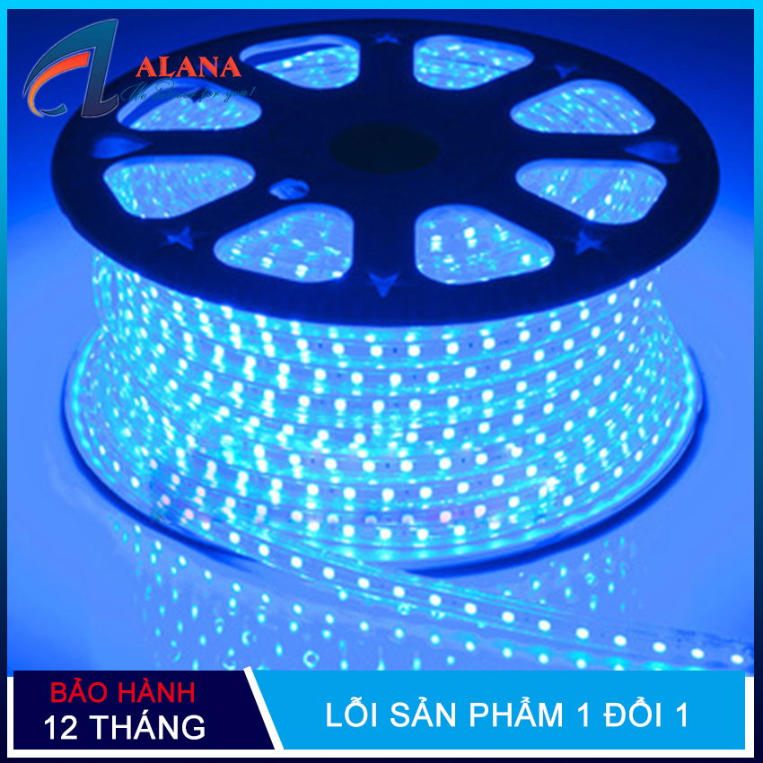 Bộ 10 mét đèn led dây 5050/220v màu xanh dương và 1 đầu nối dây nguồn