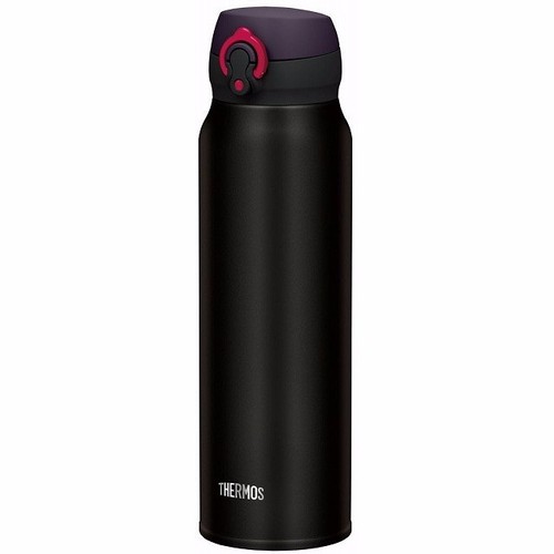 Bình giữ nhiệt cao cấp Thermos 600ml JNL-602 Japan