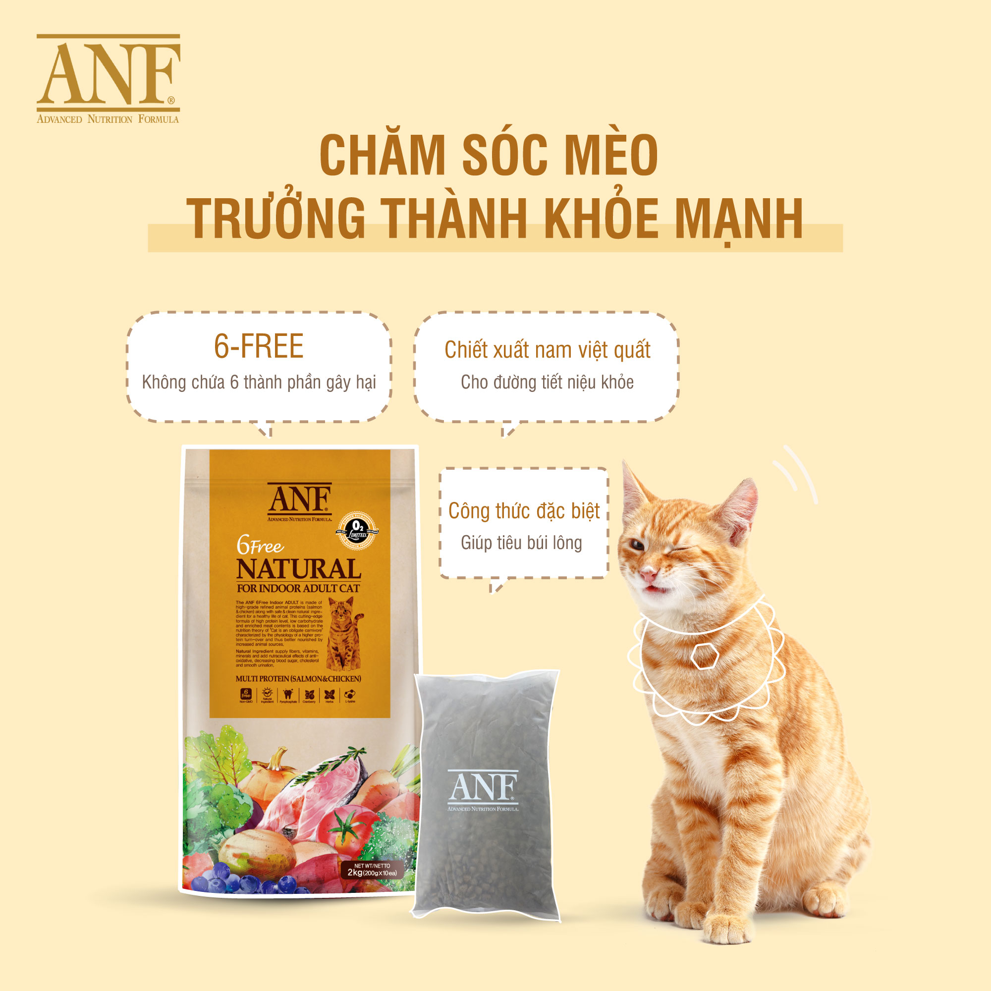 Thức ăn mèo ANF cho mèo trưởng thành