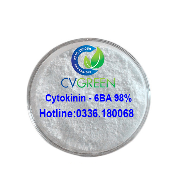 Cytokinin - 6ba 98% gói 50g - tặng kèm dung môi