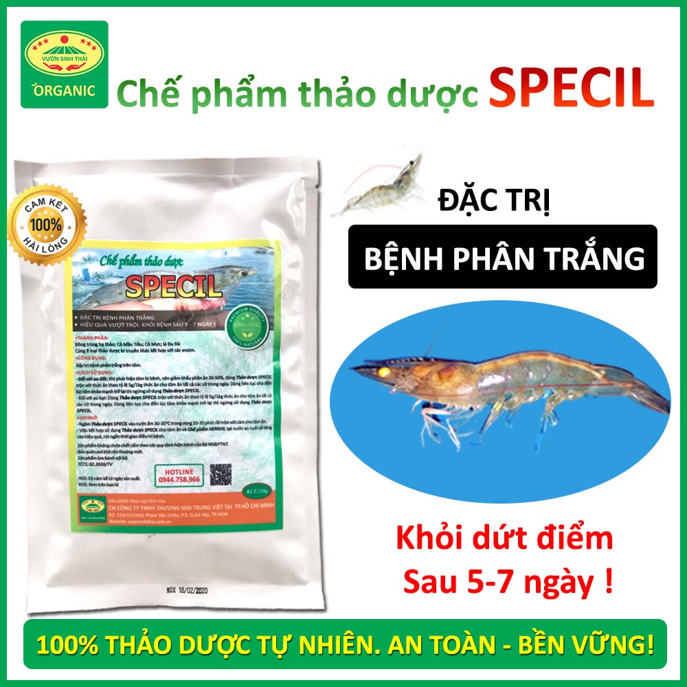 Khỏi đứt điểm bệnh Phân Trắng trên Tôm sau 5-7 ngày. Chế phẩm sinh học thảo dược SPECIL. 100% từ Thiên Nhiên. Nuôi tôm bền vững không cần Kháng Sinh