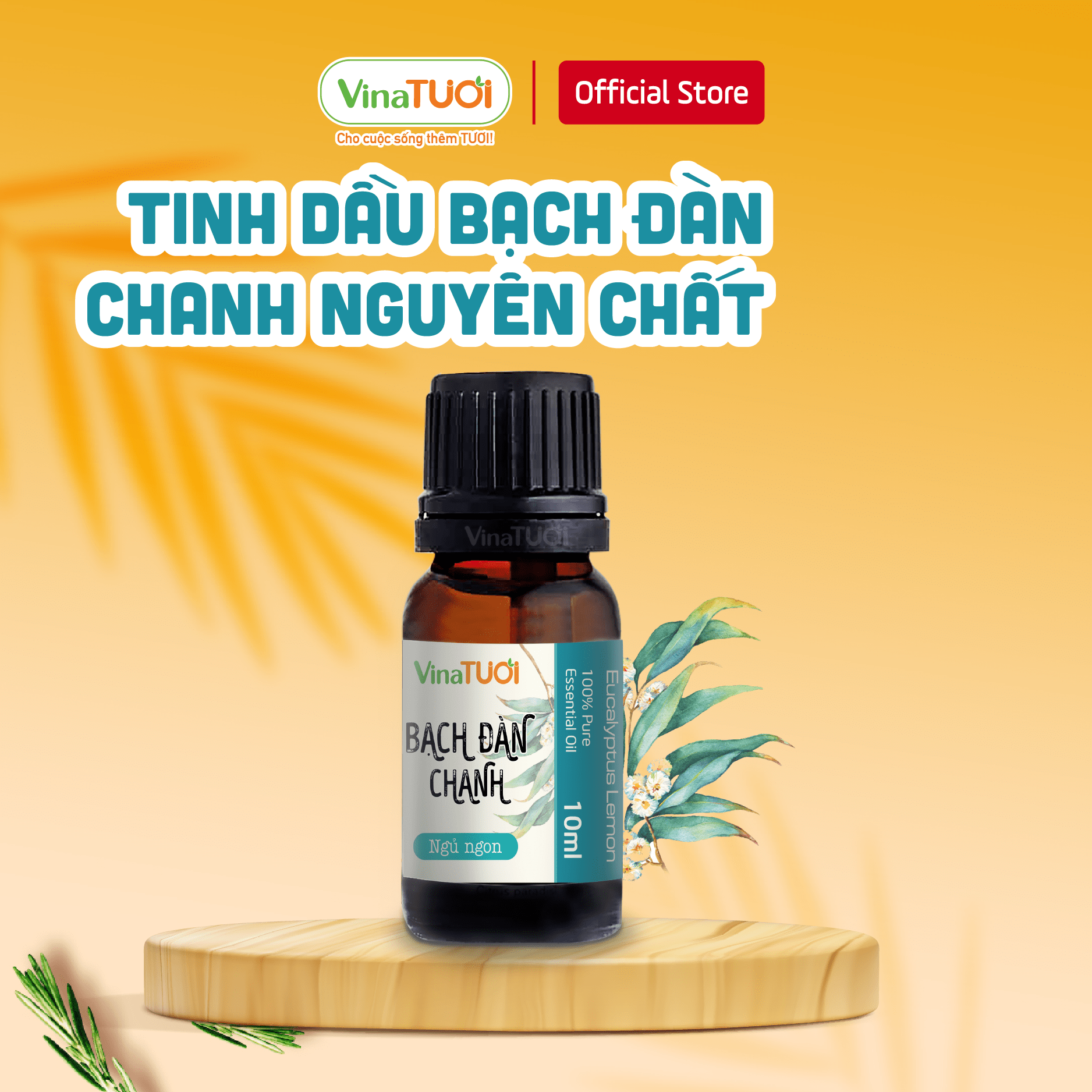 Tinh Dầu Thiên Nhiên VINA TƯƠI Bạch Đàn Chanh Nguyên Chất (Eucalyptus Lemon) Chai 10ml | Chai 50ml