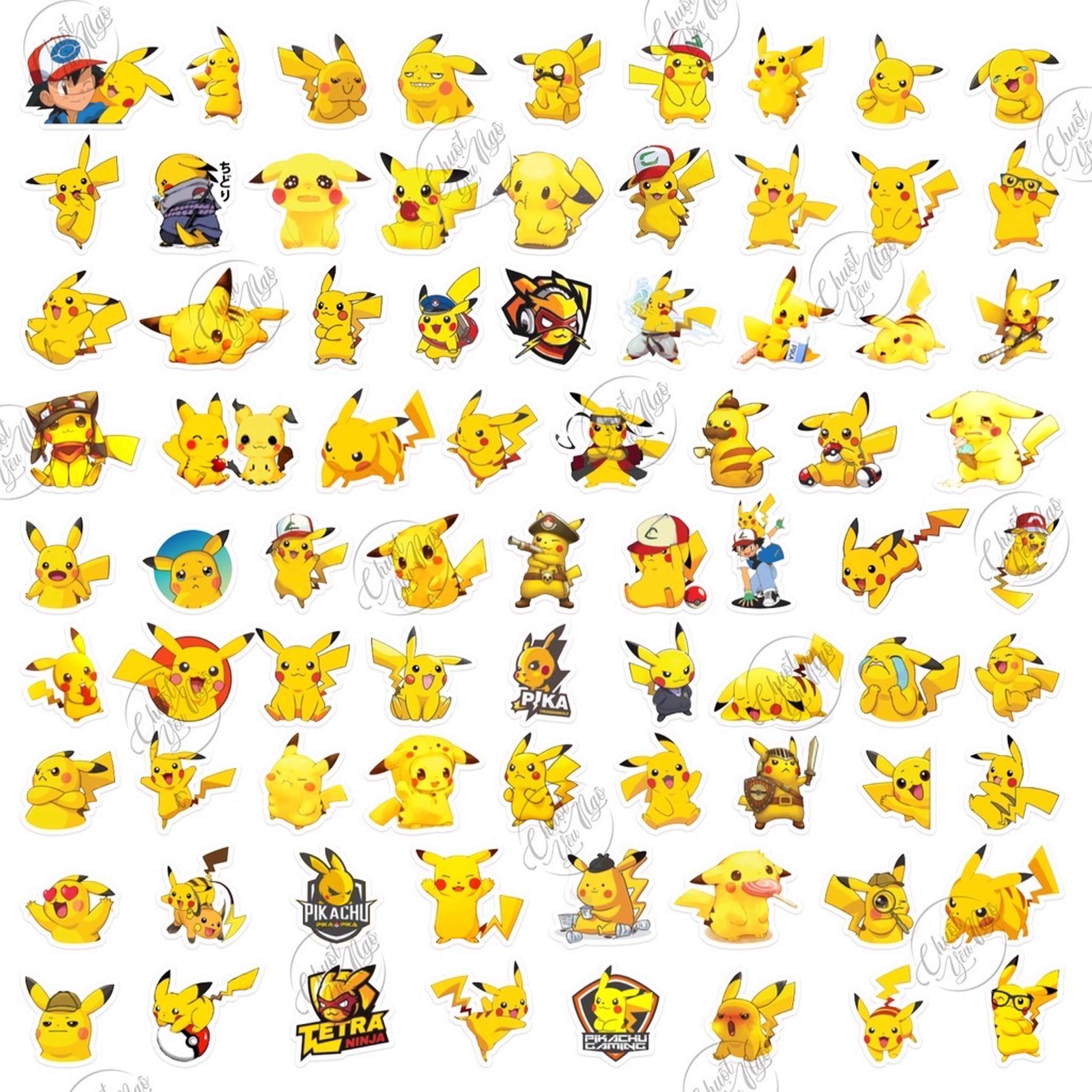 [HCM]25 mẫu sticker không trùng chủ đề Chuột Điện Bửu bối thần kỳ biểu cảm cực dễ thương NT 28