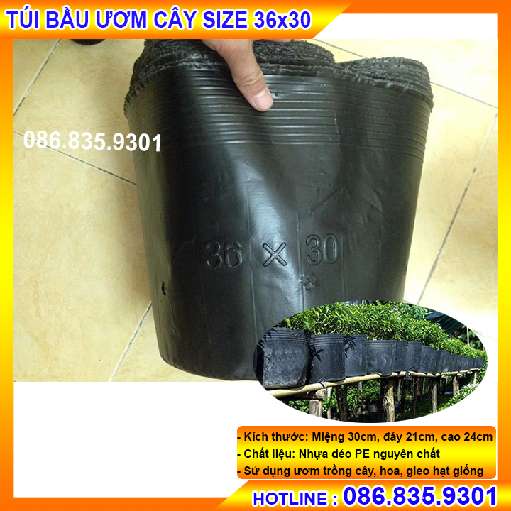 Túi bầu ươm cây giống, ươm cây trồng cây cỡ 36x30 - 1kg