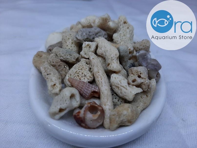 San Hô Vụn Lọc Hồ Cá 1kg - San Hô Bể Cá
