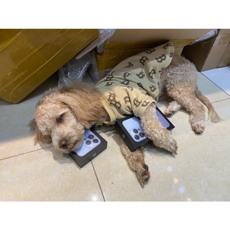 https://vn-live-01.slatic.net/p/bea289310b4f159a14773e0b6066f8e4.jpg