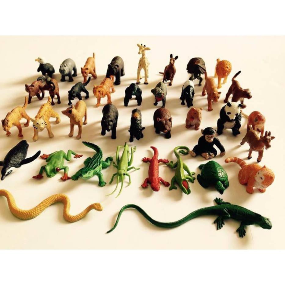 Mykingdom 3 Chuyến thám hiểm Safari chân thực cùng mô hình Schleich sống động 3 Giá chỉ còn 679000 Facebook #14 Mykingdom 3 Chuyến thám hiểm Safari chân thực cùng mô hình Schleich sống động 3 Giá chỉ còn 679000 Facebook