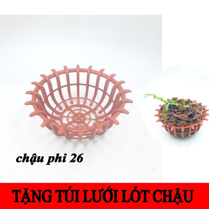 Chậu giả gỗ trồng lan phi 26 dạng dấu hỏi tặng kèm túi lưới lót chậu, combo 10 chậu màu cam