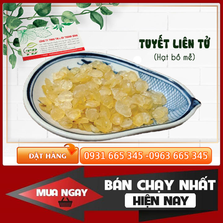 Tuyết Liên Tử - Hạt Bồ Mễ Khô 100g Hàng CTy - Thảo Dược Thanh Bình