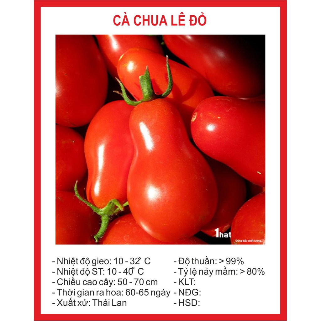 Hạt giống cà chua lê đỏ 30 hạt