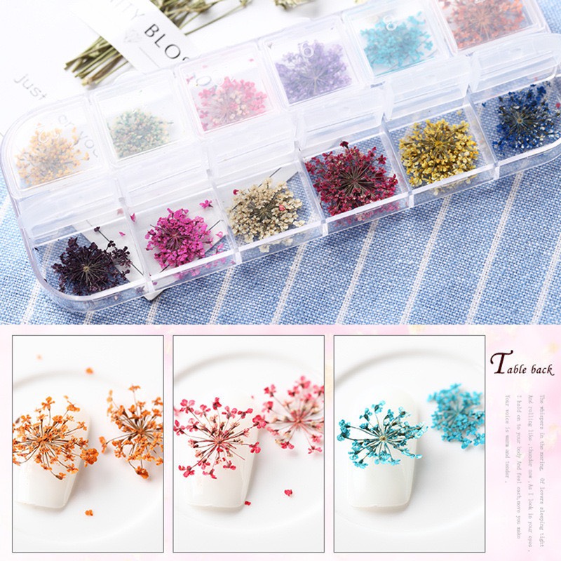 Hoa khô trang trí nail gel ẩn - Set hoa khô hoa chùm 12 màu trang trí móng tay gel ẩn