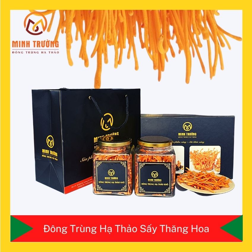 [FREE SHIP] [36 gram khô] Đông Trùng Hạ Thảo Khô Sấy Thăng Hoa Minh Trường  loại đặc biệt sấy thăng hoa, trực tiếp nuôi trồng, hạn chế các bệnh mãn tính ở người cao tuổi, hỗ trợ bệnh tiểu đường