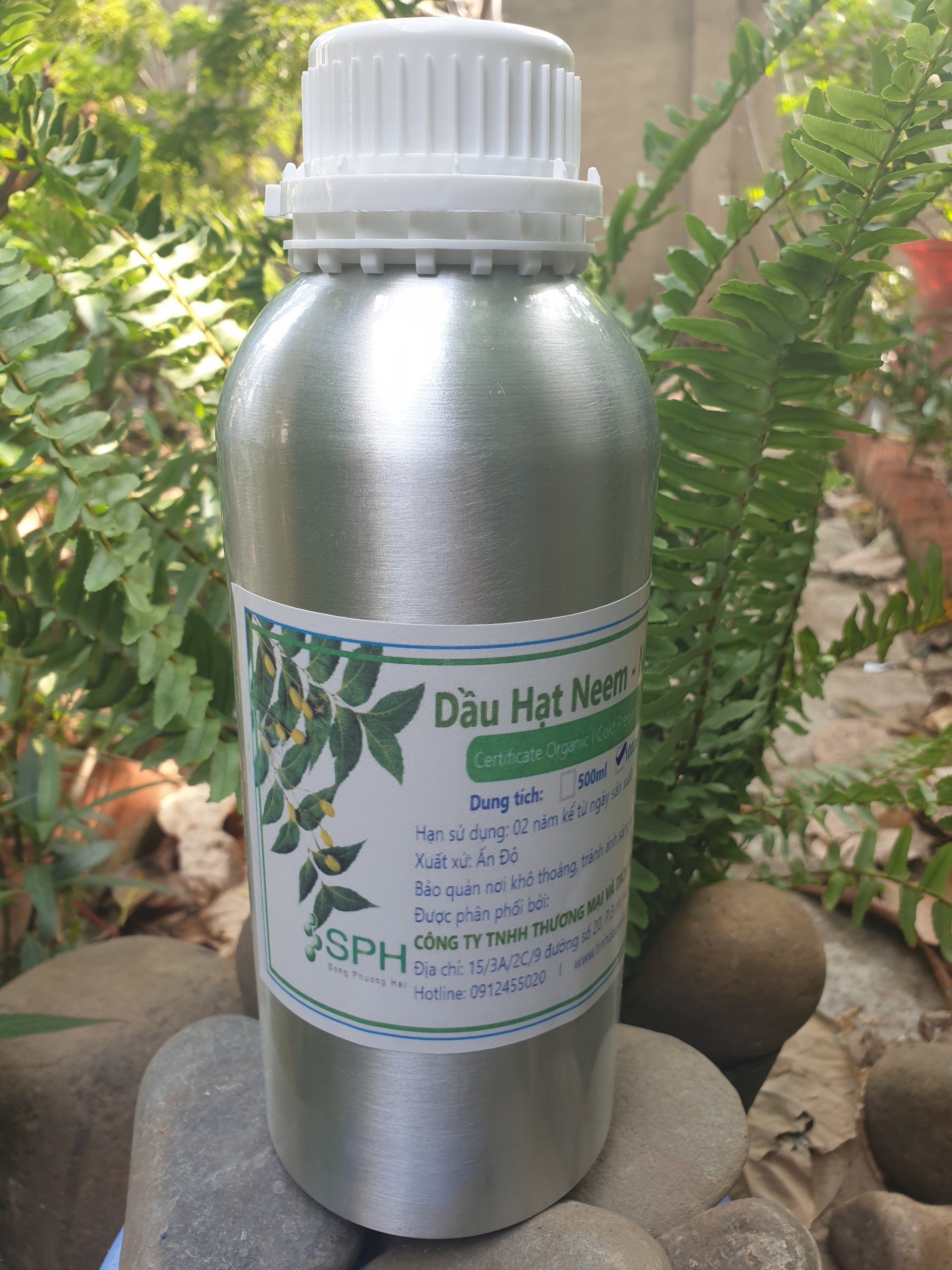 Hạt Neem hữu cơ