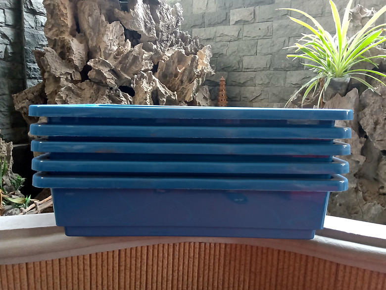 Combo 5 chậu trồng rau sạch thông minh, trồng cây màu xanh