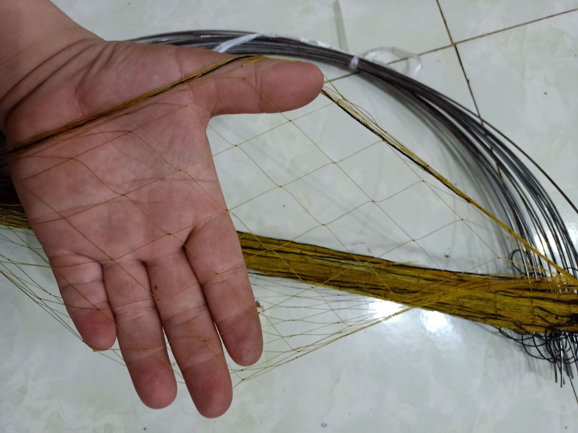 1 bộ 10 cung bẫy cút