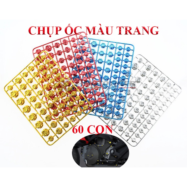 Chụp ốc màu trang trí xe máy -giá 1 vỉ 60 con