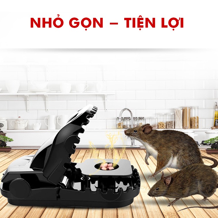 Bẫy Chuột Kẹp Thông Minh Bẫy Chuột Nhắt Bẫy Chuột Nhỏ Bẫy Kẹp Chuột đồng