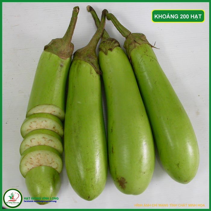 Hạt giống Cà mỡ xanh TN 054 - 1g, hiệu Trang Nông chất lượng, nảy mầm cao